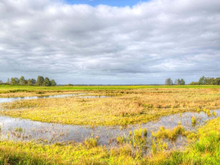 Wasser auf einem Feld