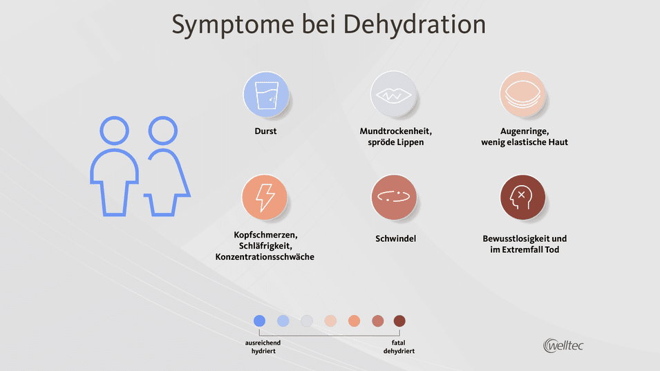 Infografik, die verschiedene Symptome von Dehydration darstellt, wie Durst, Mundtrockenheit, Kopfschmerzen, Schwindel und im Extremfall Bewusstlosigkeit. Der Verlauf von ausreichend hydriert bis fatal dehydriert wird farblich angezeigt.