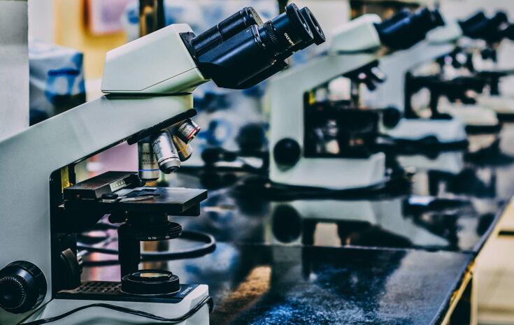 Im Labor sind viele Mikroskope auf dem Tisch