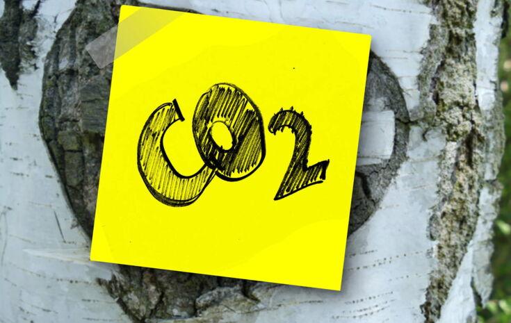Ein gelbes Posit mit CO2 geschrieben an einem Baum