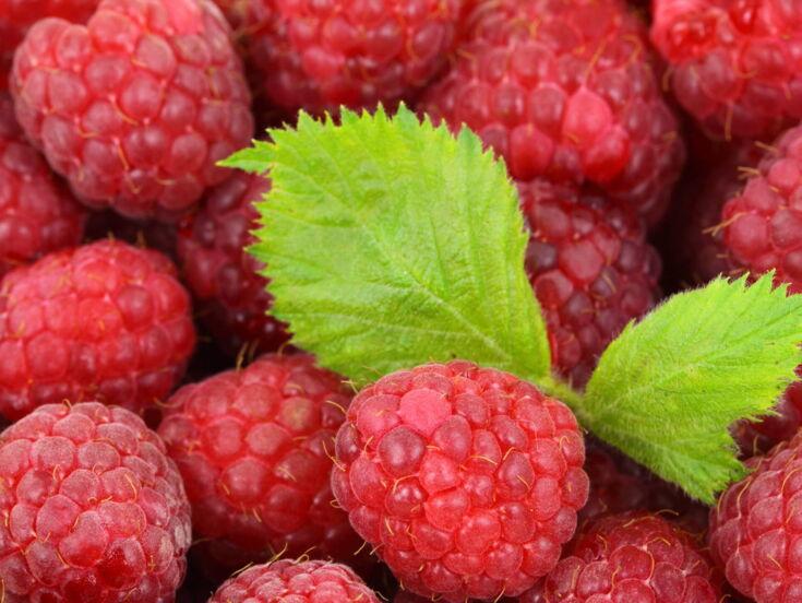 Himbeeren und ein Blatt