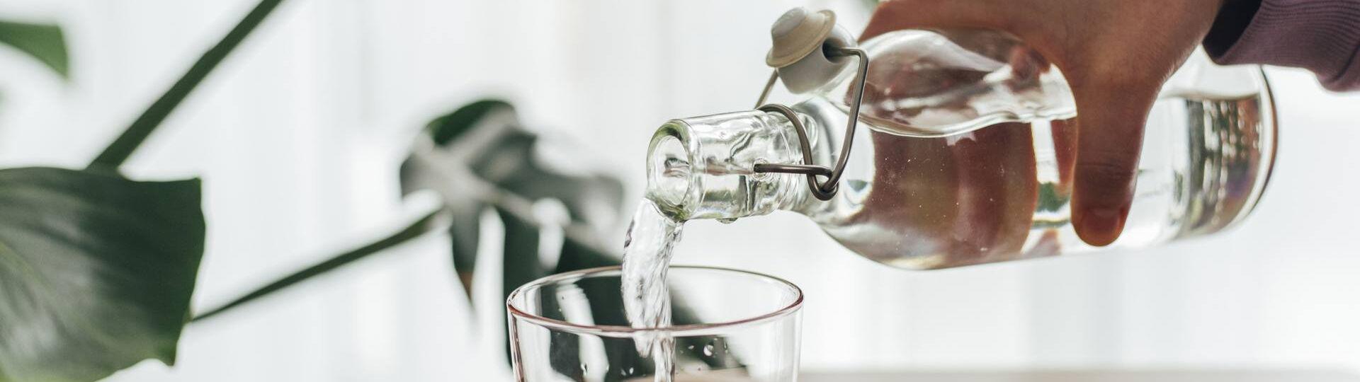 Eine Hand gießt klares Wasser aus einer Glasflasche in ein Glas auf einem Tisch, im Hintergrund sind grüne Blätter einer Zimmerpflanze zu sehen.