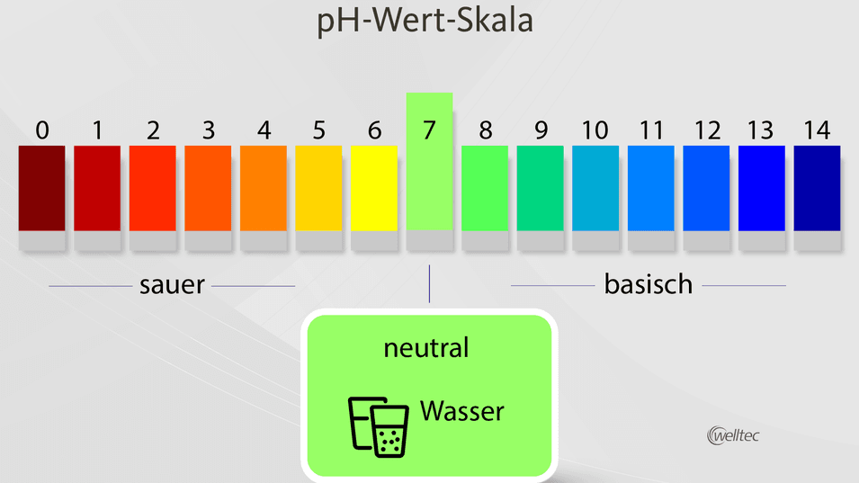 Infografik zur pH-Wert-Skala, die den pH-Bereich von 0 bis 14 zeigt. Der Bereich ist in saure (rot) und basische (blau) Werte unterteilt, mit einer neutralen Position bei 7, die Wasser darstellt.