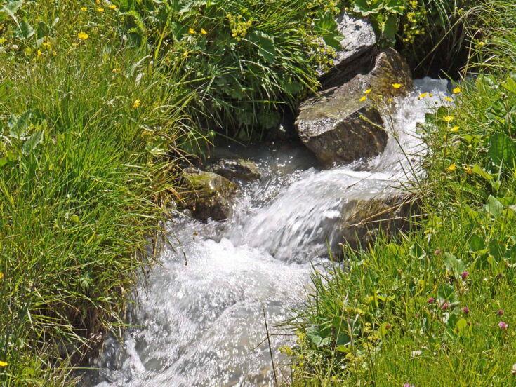 Bach aus Bergquelle mit grünem Wiesenbewuchs