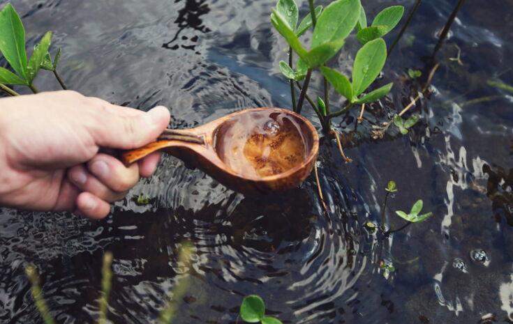 Wasser wird mit einem Holzloeffel aus einem Bach geschoepft