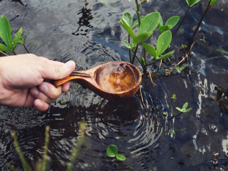 Wasser wird mit einem Holzloeffel aus einem Bach geschoepft